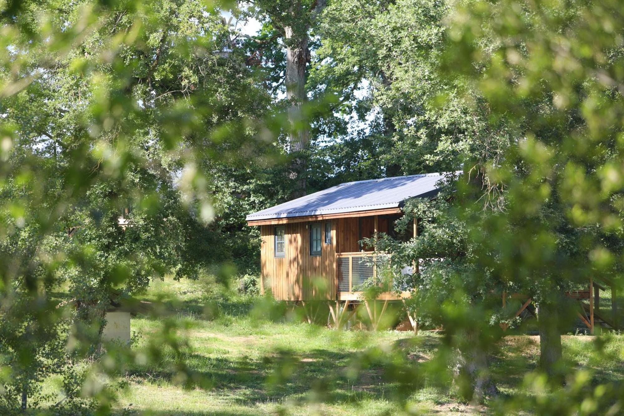 Whaka Lodge Seissan Exteriér fotografie